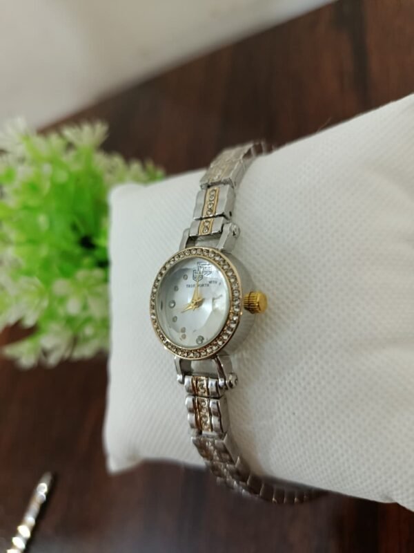 Tw Diamonds Circle Dial (Ladies) | Gold & Silver Luxury